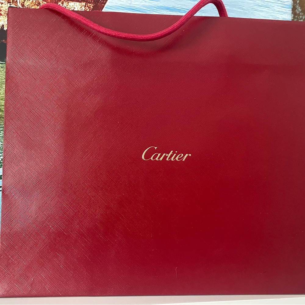 Cartier shopping/gift bag. new
